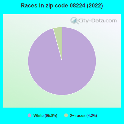 Races in zip code 08224 (2022)