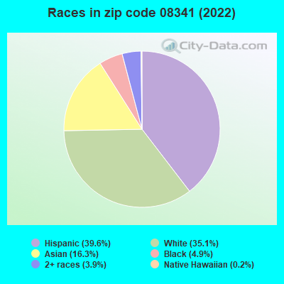 Races in zip code 08341 (2019)