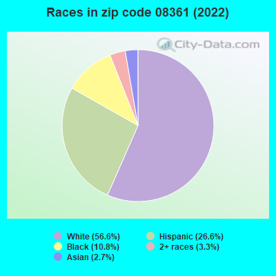 Races in zip code 08361 (2022)