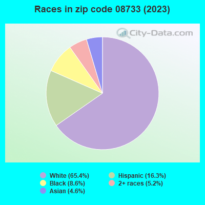 Races in zip code 08733 (2021)