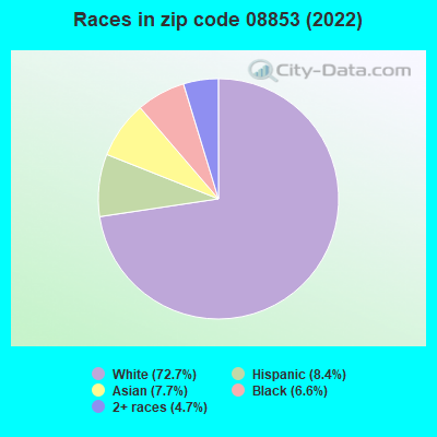 Races in zip code 08853 (2022)
