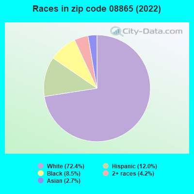 Races in zip code 08865 (2022)
