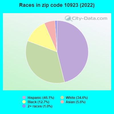 Races in zip code 10923 (2022)