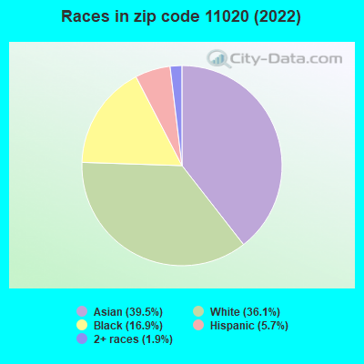 Races in zip code 11020 (2019)