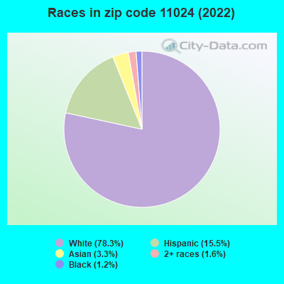 Races in zip code 11024 (2019)