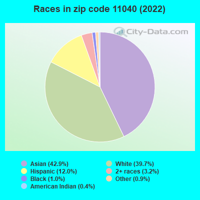 Races in zip code 11040 (2019)