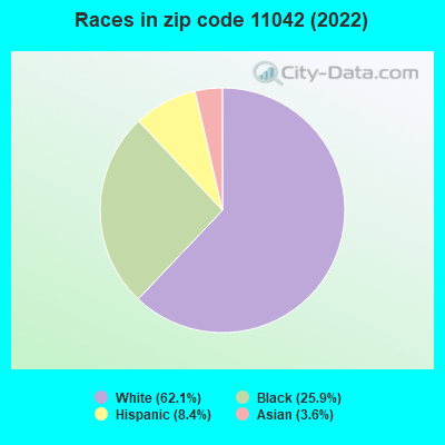 Races in zip code 11042 (2021)