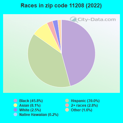 Races in zip code 11208 (2021)