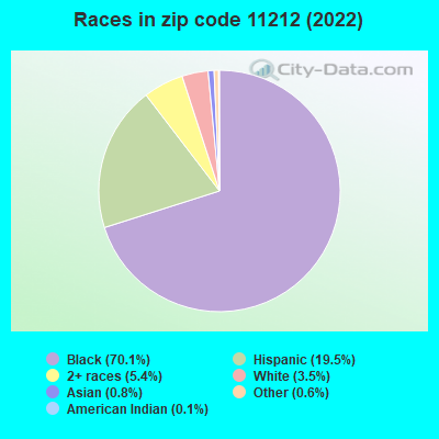 Races in zip code 11212 (2022)