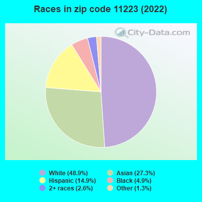 Races in zip code 11223 (2021)