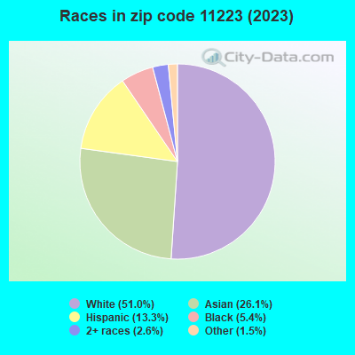 Races in zip code 11223 (2022)