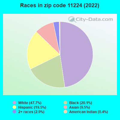 Races in zip code 11224 (2019)