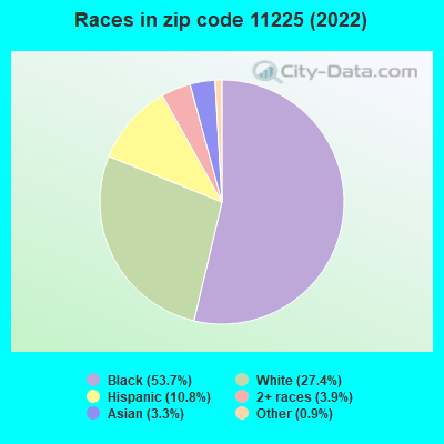 Races in zip code 11225 (2019)