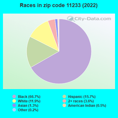Races in zip code 11233 (2019)
