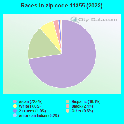 Races in zip code 11355 (2021)