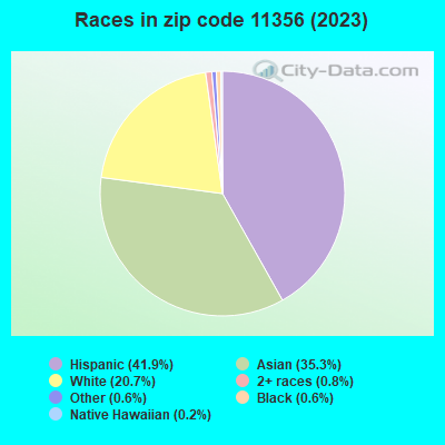 Races in zip code 11356 (2019)