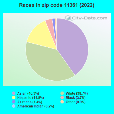 Races in zip code 11361 (2019)