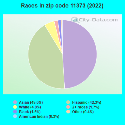 Races in zip code 11373 (2021)
