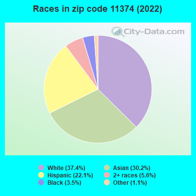 Races in zip code 11374 (2021)