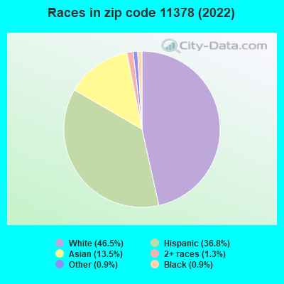 Races in zip code 11378 (2019)