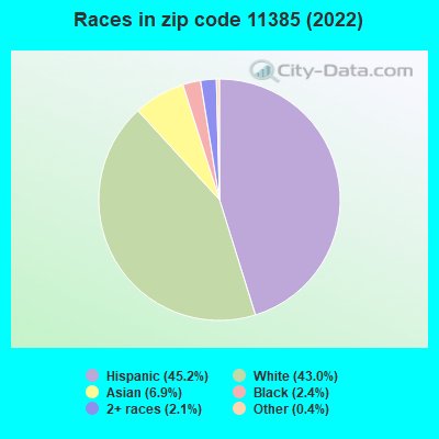 Races in zip code 11385 (2019)