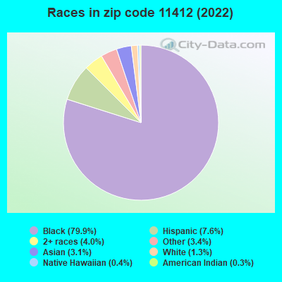 Races in zip code 11412 (2021)