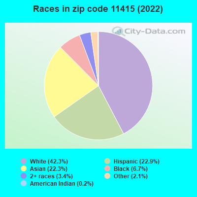 Races in zip code 11415 (2021)