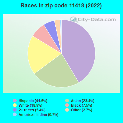 Races in zip code 11418 (2021)