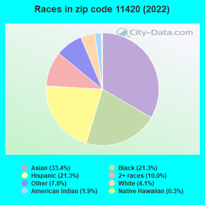 Races in zip code 11420 (2019)