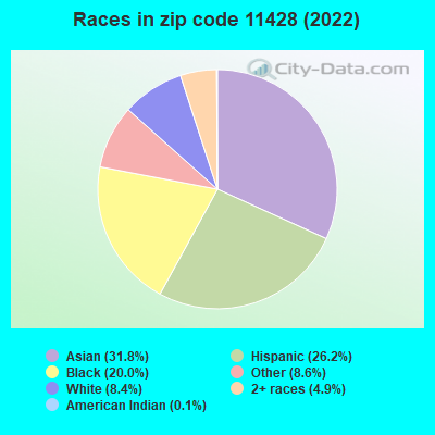 Races in zip code 11428 (2022)