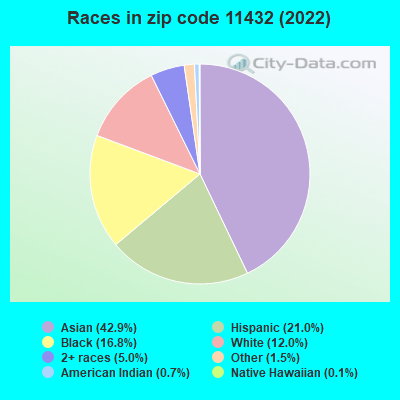Races in zip code 11432 (2021)