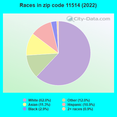 Races in zip code 11514 (2019)