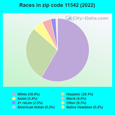 Races in zip code 11542 (2019)