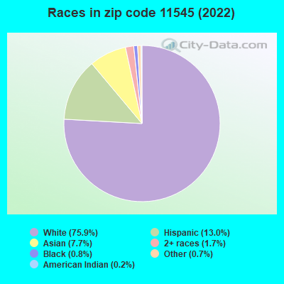 Races in zip code 11545 (2019)