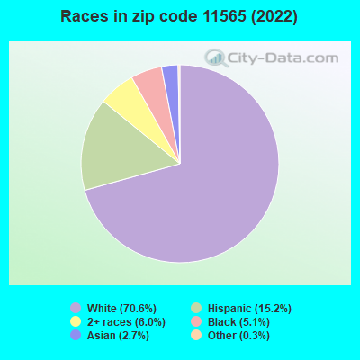 Races in zip code 11565 (2022)