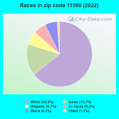Races in zip code 11568 (2021)