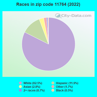 Races in zip code 11764 (2019)