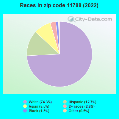 Races in zip code 11788 (2019)
