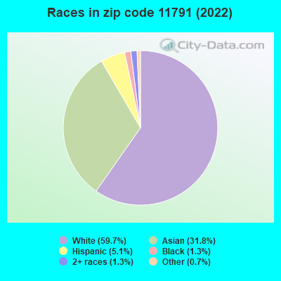 Races in zip code 11791 (2019)