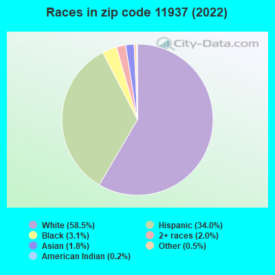 Races in zip code 11937 (2021)