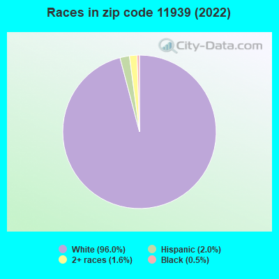 Races in zip code 11939 (2022)