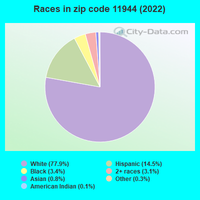 Races in zip code 11944 (2019)