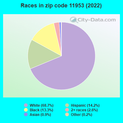 Races in zip code 11953 (2021)