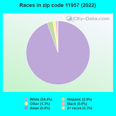 Races in zip code 11957 (2019)