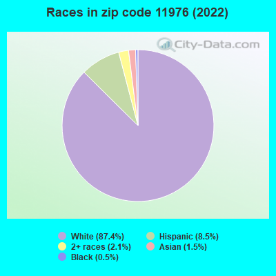 Races in zip code 11976 (2019)