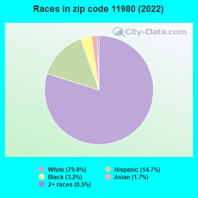 Races in zip code 11980 (2022)