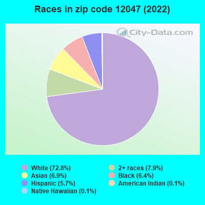 Races in zip code 12047 (2019)