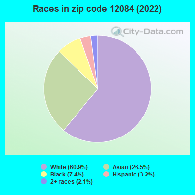 Races in zip code 12084 (2021)