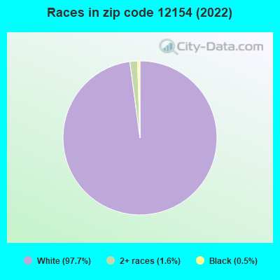 Races in zip code 12154 (2022)