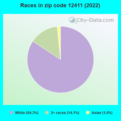 Races in zip code 12411 (2019)